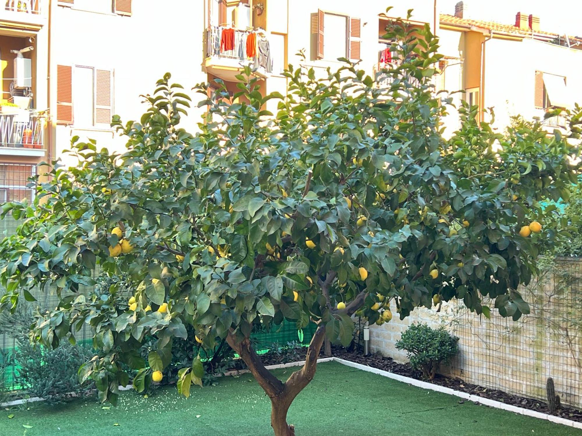 Casa Paestum. Your Wonderful Garden In Rom Exterior foto
